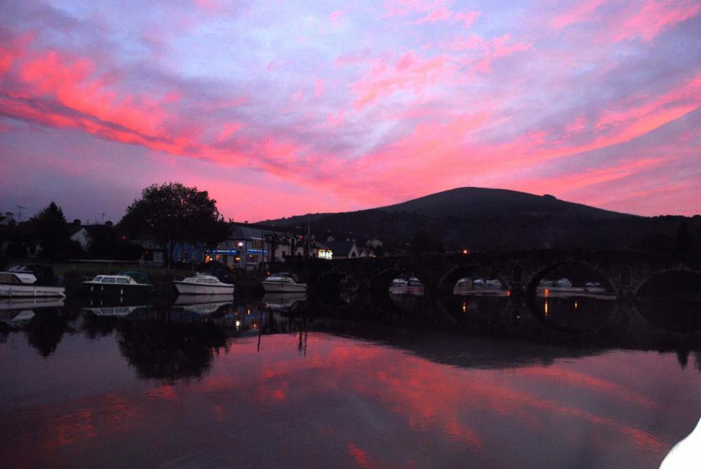Waterside Guesthouse Graiguenamanagh エクステリア 写真